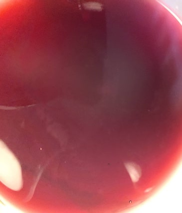 A glass of Pinot Noir with a red ruby color shades of purple