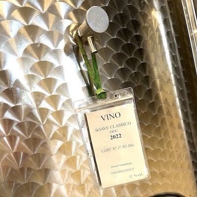 White wine from Italy is often made in stainless steel
