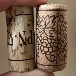 Corks can affect the bottle of wine you’re drinking and cause cork taint