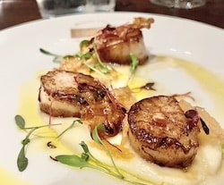 A plate of scallops cooked in a lemon butter sauce to pair with a glass of Sauvignon Blanc